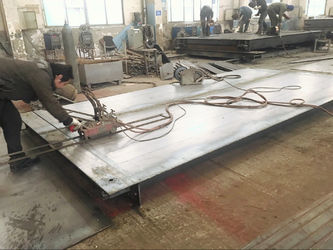 Changzhou Skyerscale Co.,Limited 工場生産ライン