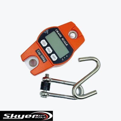 品質  300kg Digital Crane Scale with LED LCD Display 工場