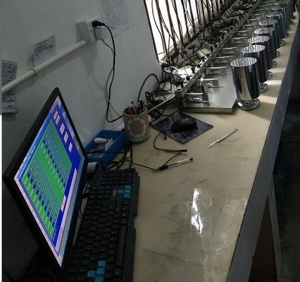 積み過ぎの保護デジタル橋ばかりの表示器の荷重計