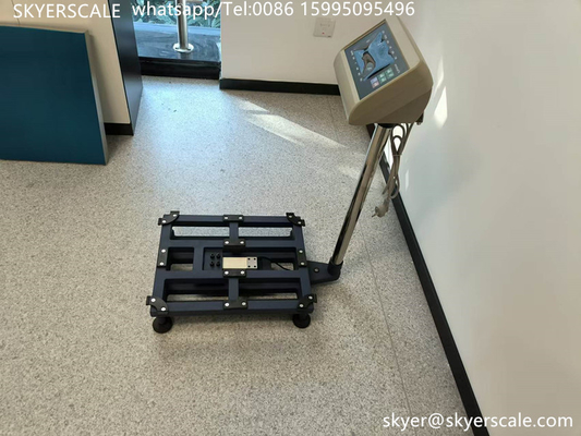 300kg プラットフォーム ベンチ スケール 232 ドルでコンピューターに接続