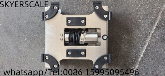 304 ステンレス鋼のベンチスケール 小規模産業用重量 OEM/ODM/OBM サポート