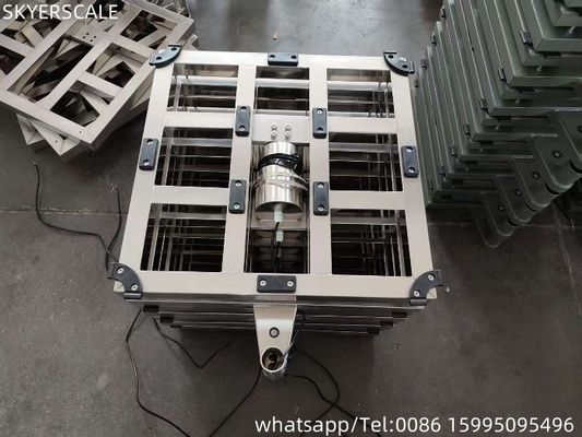304 ステンレス鋼のベンチスケール600 * 800 mm 300kg 秤と防水プラットフォームのスケール