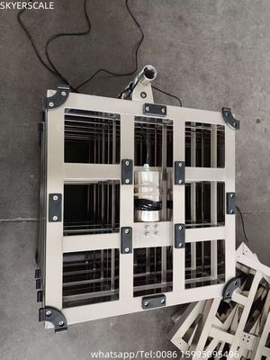 304 ステンレス鋼のベンチスケール600 * 800 mm 300kg 秤と防水プラットフォームのスケール