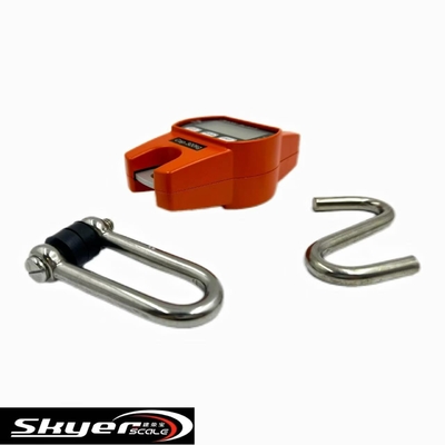 300kgのデジタルクレーンスケール LED LCDディスプレイ